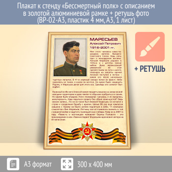 Плакат к стенду «Бессмертный полк» с описанием в золотой (матовой) алюминиевой рамке + ретушь фото (BP-02-A3, пластик 4 мм, А3, 1 лист)